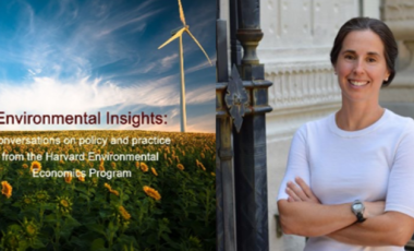 Environmental Insights logo Meredith Fowlie montage