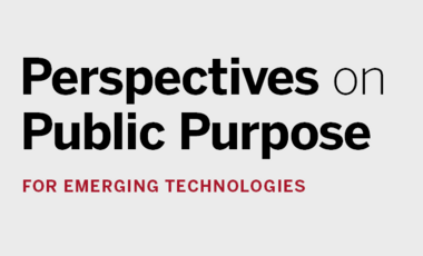 Perspectives on Public Purpose